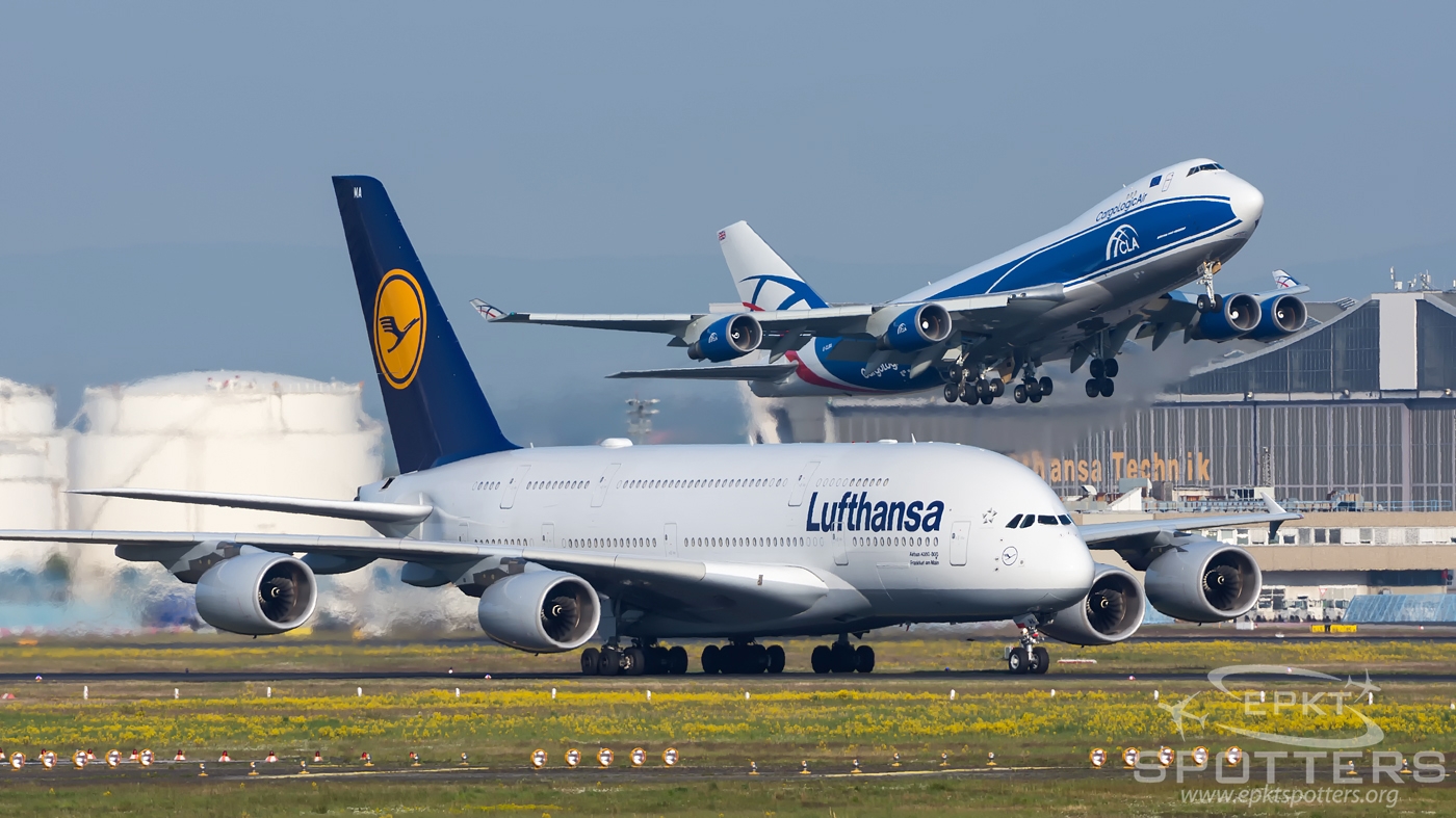 D-AIMA - Airbus A380 -841 (Lufthansa) / Frankfurt Main - Frankfurt Germany [EDDF/FRA]